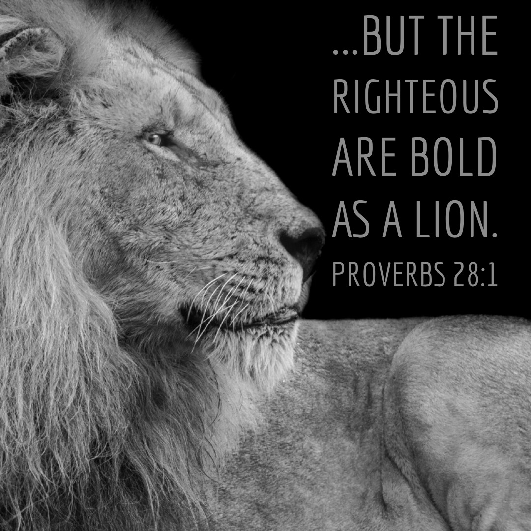 Bold as a Lion - First Baptist Church